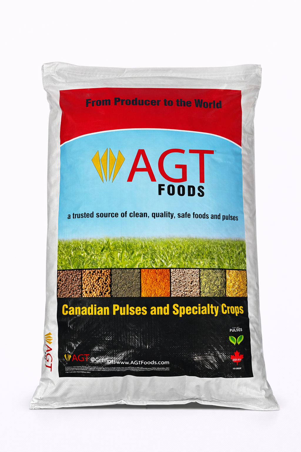 White Chana 9mm - 55lbs